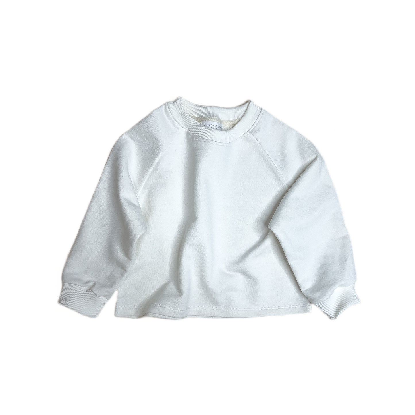 Cotton Sweatshirt - Ivory